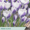 Taylors Bulbs Prins Claus Crocus packaging with purple and white flowers.