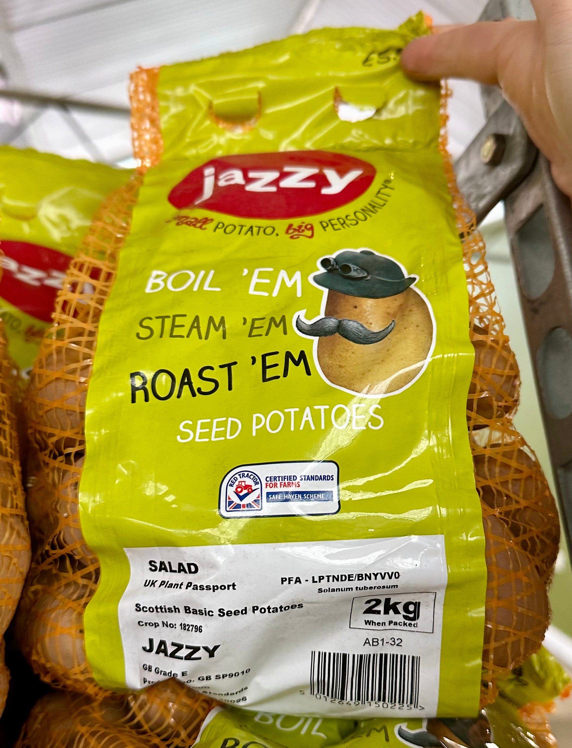 Potato ‘Jazzy’ - Second Early