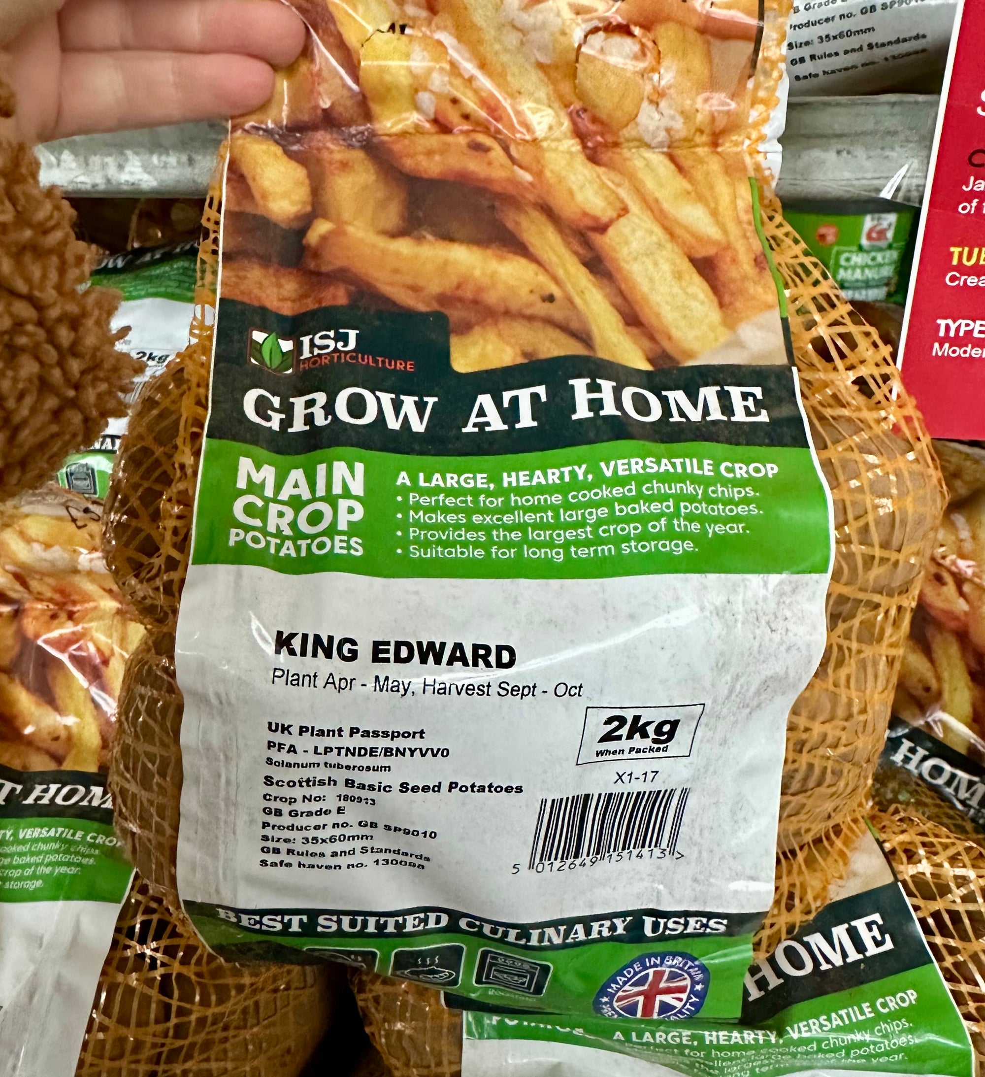 Potato ‘King Edward’ - Maincrop