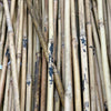 Bamboo Cane 4’