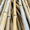 Bamboo Cane 3’