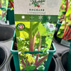 Rhubarb ‘Livingstone’ - JMS25
