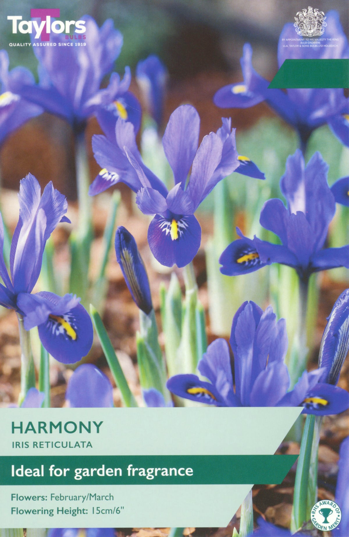 Packaging of Taylors Iris Reticulata with purple flowers and branding.