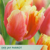 Taylors Bulbs Dee Jay Parrot tulip packet with tulips in the background