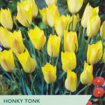 Packaging of Taylors Honky Tonk tulips with yellow flowers and branding.