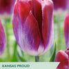 Taylors tulip packet with a purple tulip and branding