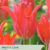 Taylors Bulbs Pretty Love Tulips packaging with red tulips in the background