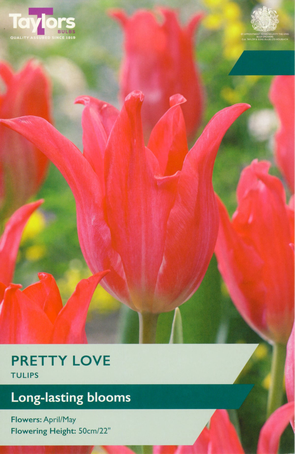 Taylors Bulbs Pretty Love Tulips packaging with red tulips in the background