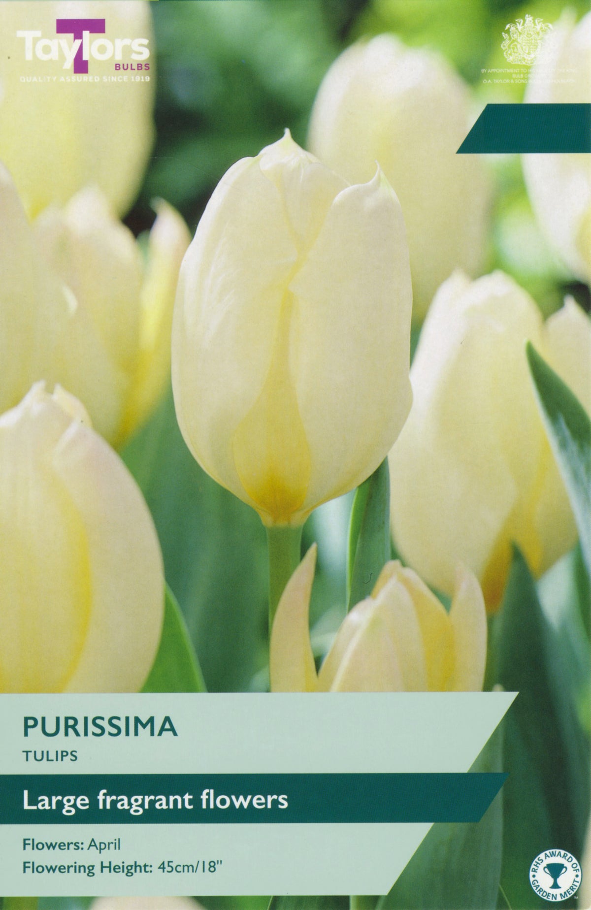 White tulips with branding and product information text overlay