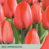 Red tulips with 'Taylors' branding on a seed packet