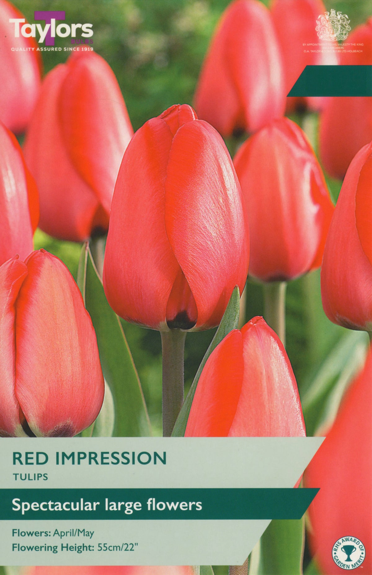 Red tulips with 'Taylors' branding on a seed packet