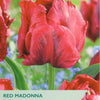 Red Madonna tulips with product details on a green background