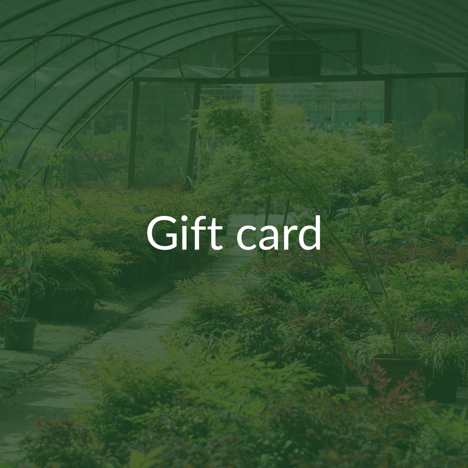 Gift Card Image